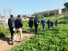 Vecinos del sector O&#039;Higgins recibieron visita del Programa Barrios