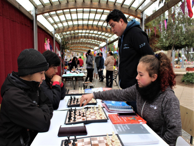 Llolleo tuvo su primera Feria de Libre Intercambio de Talentos