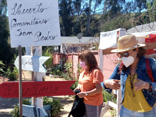 El trabajo en equipo rinde sus primeros frutos en el huerto comunitario de San Pedro