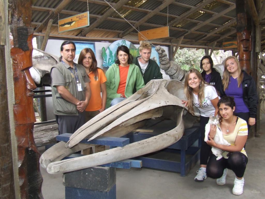 Voluntarios Extranjeros y Chilenos compartieron y aprendieron durante el verano 2012 en el Centro de Rescate de Fauna de San Antonio