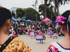 Más de mil personas asistieron a feria costumbrista realizada en Llolleo