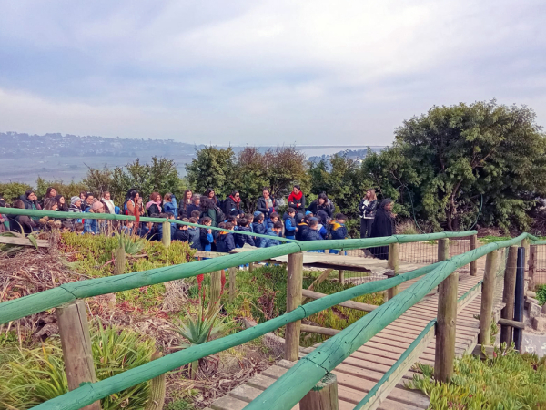 Museo invita a niñas y niños a participar de la actividad “Creando letreros para nuestro bioparque”   