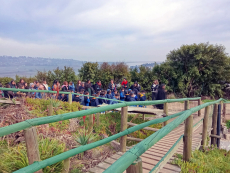 Museo invita a niñas y niños a participar de la actividad “Creando letreros para nuestro bioparque”   