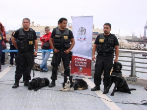 En San Antonio se realizó el lanzamiento provincial de la campaña 100% Libre de Drogas de CONACE