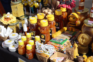 San Antonio celebró la Séptima Jornada Apícola con gran convocatoria