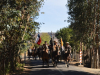 En Cuncumén se realizará la Fiesta Patronal de San Isidro