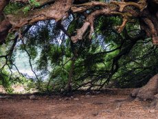 Participa en el Fondo de Protecci&oacute;n ambiental