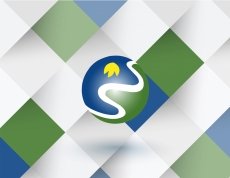 Informes Pladeco; Cuarto Trimestre a&ntilde;o 2015 e informe anual.