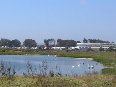 Municipio realiza educaci&oacute;n ambiental y acciones para declarar Humedal Urbano los Ojos de Mar y alrededores