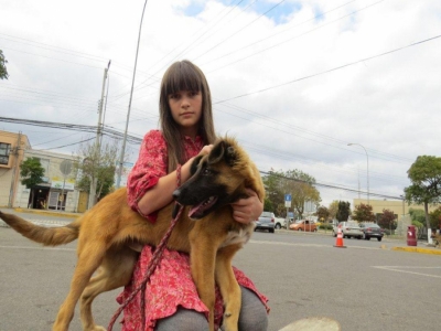 Municipio de San Antonio realizar&aacute; nuevo Operativo Sanitario para mascotas