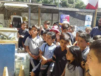 Invitan en estas vacaciones a conocer el Centro de Rescate y Rehabilitaci&oacute;n de Fauna Silvestre de San Antonio