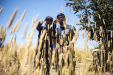 Parti&oacute; temporada de trabajo preventivo de vig&iacute;as forestales en la comuna de San Antonio