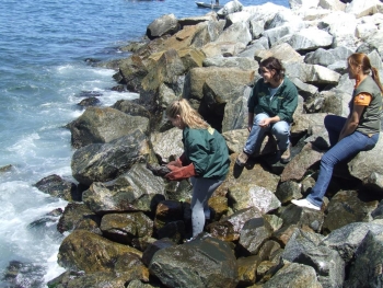 Liberaci&oacute;n deCormor&aacute;n Yeco en San Antonio