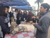 Estudiantes del Liceo Juan Dante Parraguez se lucen en la Cuarta Feria Laboral 2025