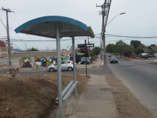 La Municipalidad de San Antonio instalar&aacute;&nbsp;11 Refugios Peatonales Urbanos y Rurales