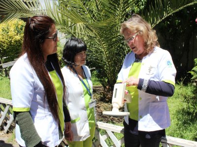 Las mascotas de San Antonio estar&aacute;n identificadas por un microchips